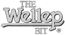 Wellep Bit Logo